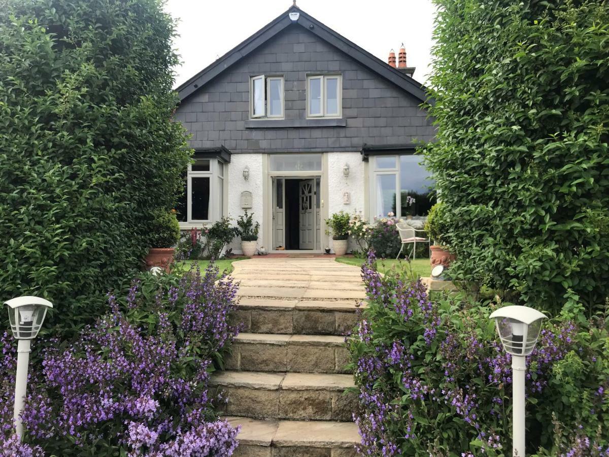 The Artist Residence Dublin Boutique B&B Sutton Kültér fotó